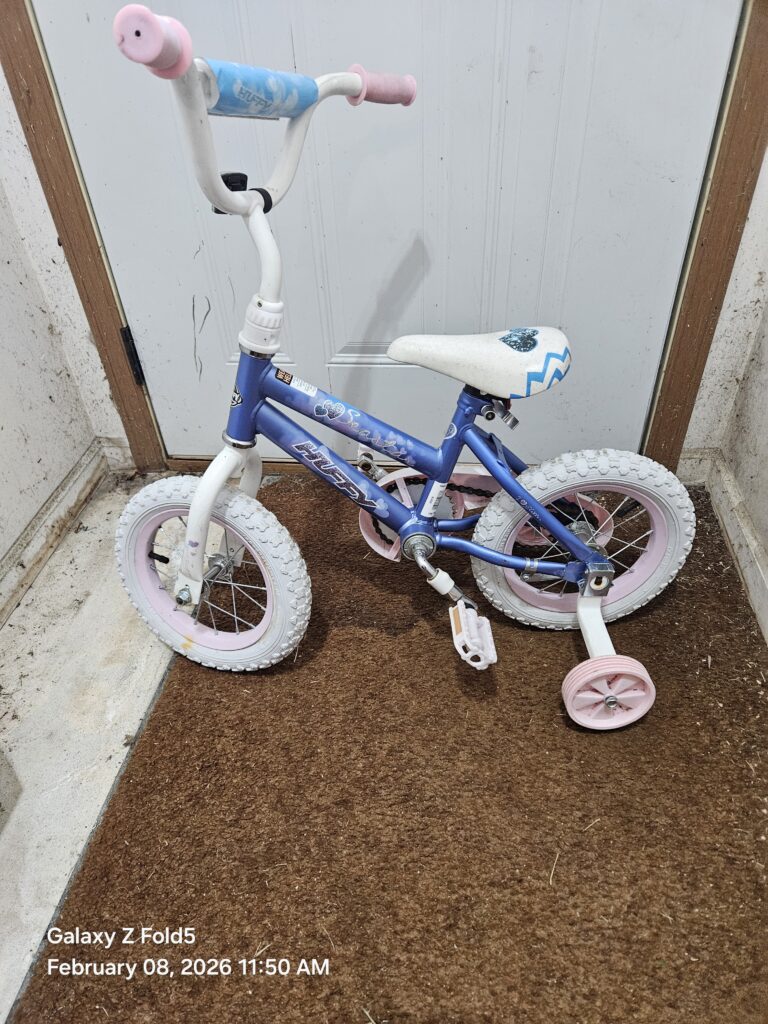 Kids bike